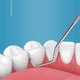 thumbnail image 5 of Fiudx Kit de Limpieza Dental, Palillo Portátil de Acero Inoxidable, Incluye Caja de Almacenamiento Personalizada, Diseño Totalmente Pulido para Mayor Comodidad, Ideal para Viajes Diarios, Ideal para, 5 of 6
