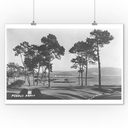 Pebble Beach, California - Golf Course Coast View - Vintage Photograph (9x12 Art Print, Wall Decor Travel