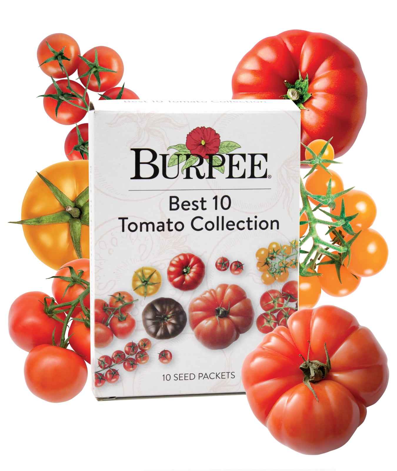 Burpee Exclusive 'SuperSauce' Hybrid Large Red & Paste Tomato 25 Garden 