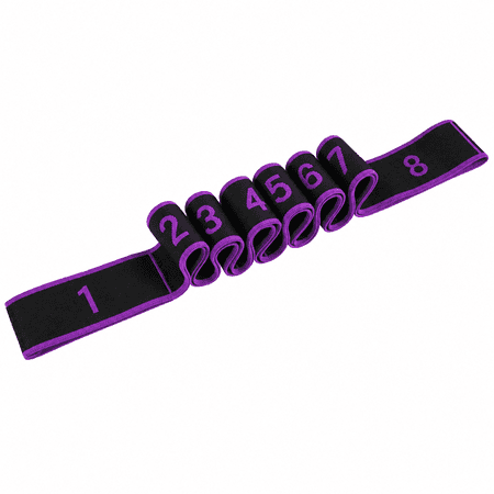 ABPETE Resistance Bands with Handles,Elastic Stretching Strap for Physical Therapy, Yoga & Shoulder Leg Exercise(Purple)