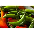 thumbnail image 4 of TomorrowSeeds - Serrano Pepper Seeds - 200+ Count - For 2026 Planting 23,000 Scoville Mexican Verde, 4 of 11