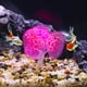 thumbnail image 2 of Silicona Resplandeciente Acuario Simulación Coral con Ventosa, Rosa, 2 of 7