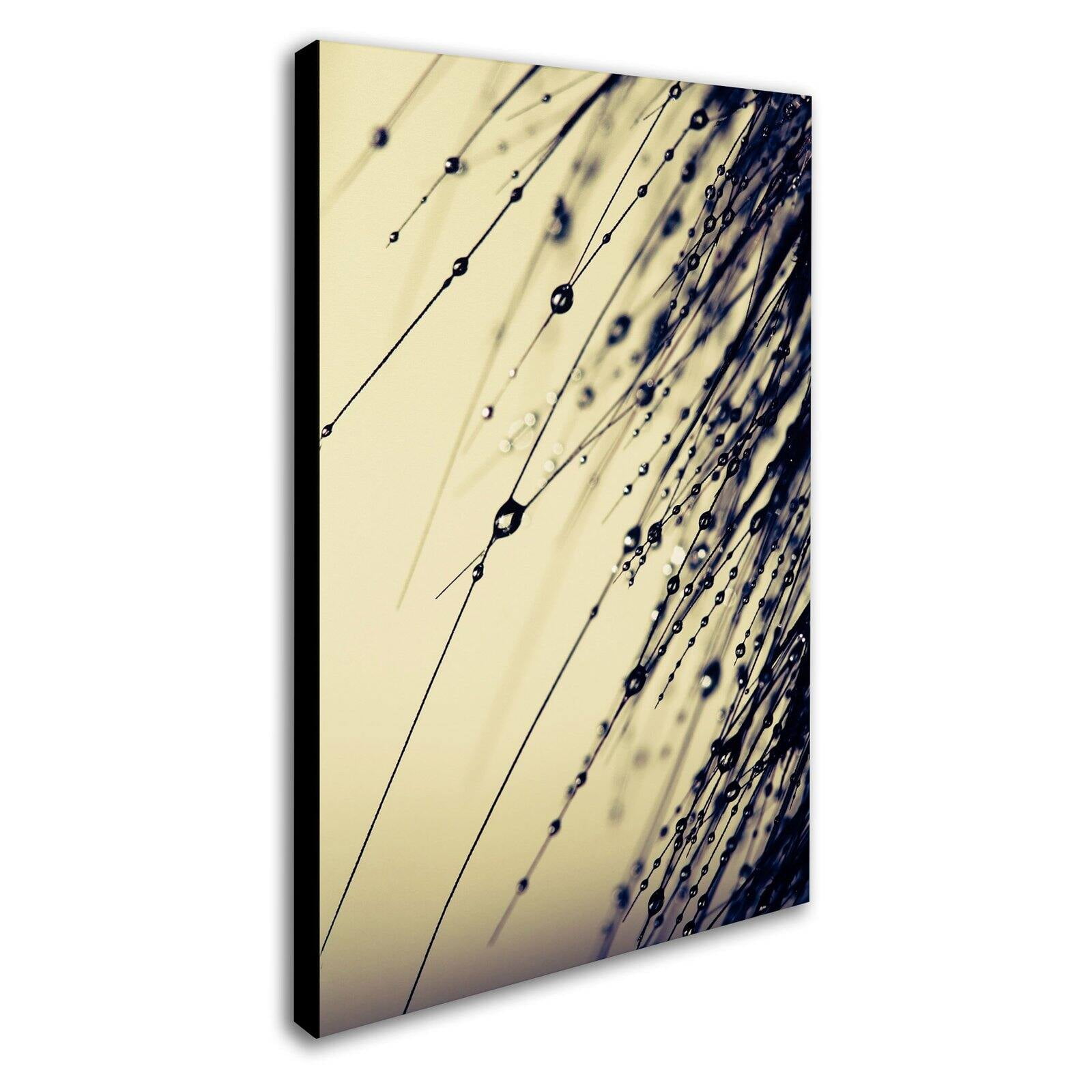 Trademark Fine Art "Music of Yesterday" Canvas Art by Beata Czyzowska Young