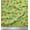 Light Green, variant on Soimoi Red Cotton Duck Fabric Red Berries Fruits Fabric Prints By Yard 42 Inch Wide
