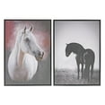 thumbnail image 1 of Art Mural Encadré (Portrait De Cheval) (Asstd) - Set De 2, 1 of 1