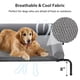 thumbnail image 2 of Cama de refrigeración elevada para perros RRPETHOME, grande, para perros grandes, 2 of 8
