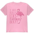 thumbnail image 1 of I Just Really Like Flamingos Youth T Shirt, 1 of 1