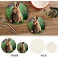 thumbnail image 4 of SKYSONIC 2Pcs Fluffy Little Bunny Spring Flower Pot Holders Trivets, Cute Rabbit Cotton Thread Weave Trivet Heat Resistant Mats Pot Teapot Protection Table Decorative, 4 of 7