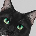 thumbnail image 3 of Wayfare Art Canvas Prints Poster, Animal 8 x 10 inch Wall Decor Canvas Artwork, Animal Tuxedo Cat White Chin, 3 of 7