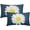 Blue Daisy, variant on Daisy Flower Blue Lumbar Pillow Covers 12x20 Inch White Petal Floral Bloom Decorative Pillow Cases Spring Summer Seasonal Cushion Covers Farmhouse Home Decor for Porch Couch Outdoor Set of 2