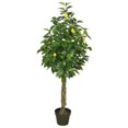 thumbnail image 1 of Vickerman TA171101 Arbre de Citronnier Réaliste avec Pot - 51 Po, 1 of 2