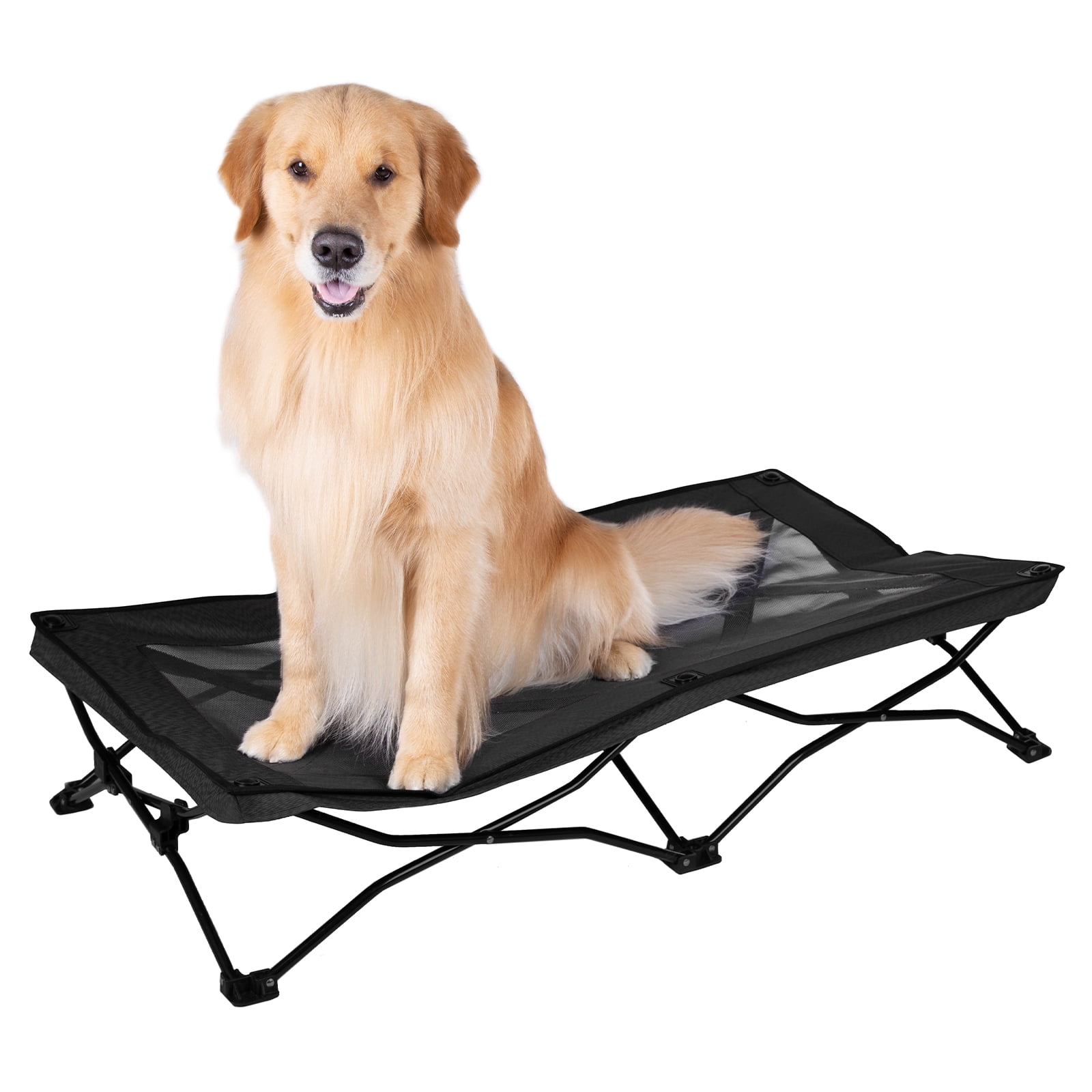 elevated folding pet bed