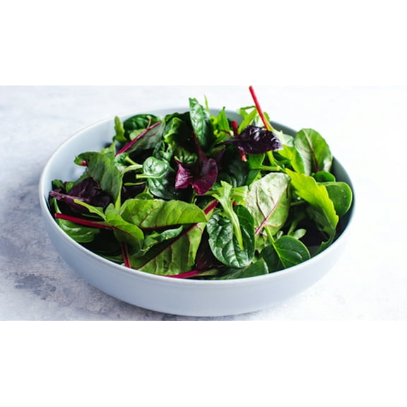 Vegetable SEEDS = 500 SEEDS - Garden Mesclun Mix Lettuce --Heirloom -Beautiful colors- Excellent salad