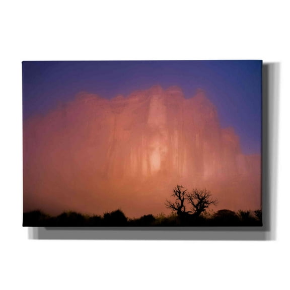 Epic Graffiti 'Arches Morning Fog - Arches National Park' by Darren White, Giclee Canvas Wall Art, 26"x18"