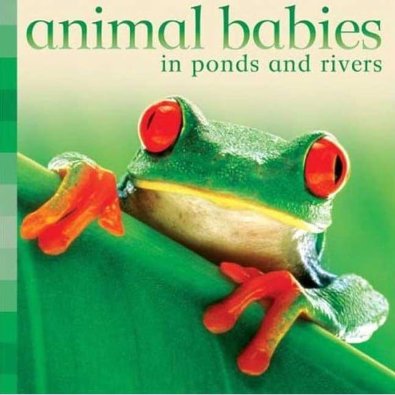 Animal Babies: Animal Babies in Ponds and Rivers (Board book)