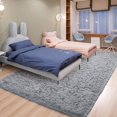 thumbnail image 2 of Fluffy Carpet for Bedroom, 4x6 Rug Soft Indoor Small Shag Area Rug, Machine Washable Rug for Living Room, Non Slip Gray Throw Rugs for Kids Room, Fuzzy Modern Home Decor, 2 of 5