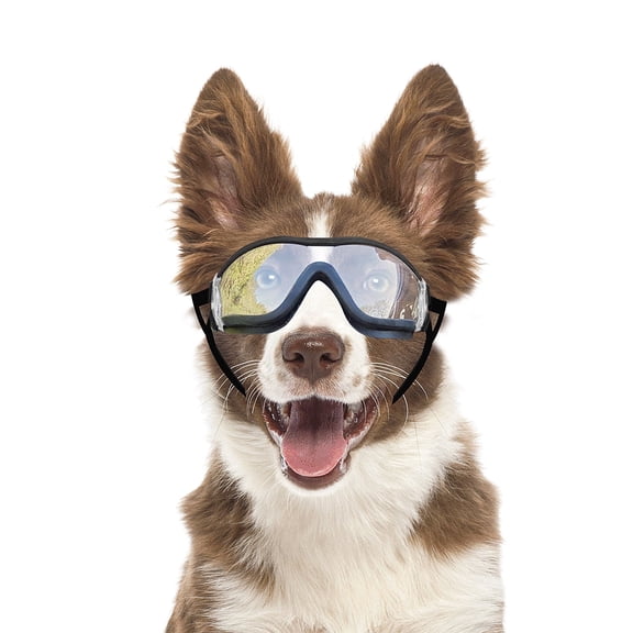 NAMSAN Dog Goggles Sunglasses for Medium to Large Dog Eye Protection with Adjustable Straps