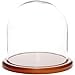 thumbnail image 3 of Plymor Cloche d'Affichage en Verre 8 "x 8" (Base Noyer MDF), 3 of 3