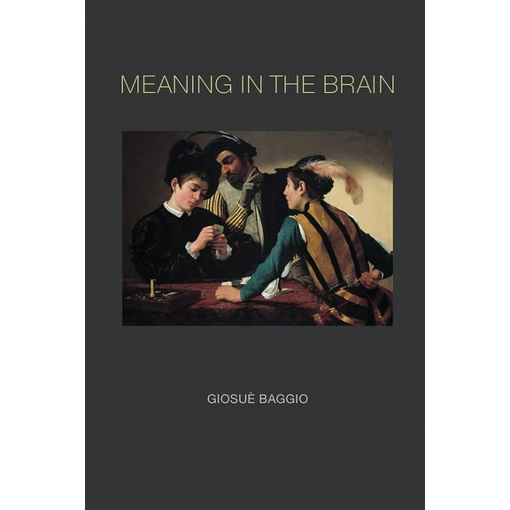 Meaning in the Brain, (Hardcover)