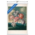 thumbnail image 3 of A Group Of Carnations Wall Poster with Magnetic Frame, 22.375" x 34", 3 of 6