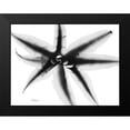 thumbnail image 2 of Koetsier, Albert 14x12 Black Modern Framed Museum Art Print Titled - Cryptanthus, 2 of 5