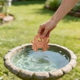 thumbnail image 5 of SIfdSeng My Items Bird Bath Plate Decorative Purification Plate with Support Points Natural All Weather Water Suitable for Outdoor Bird Bath Tubs and Bowls Multiple Choices, 5 of 5