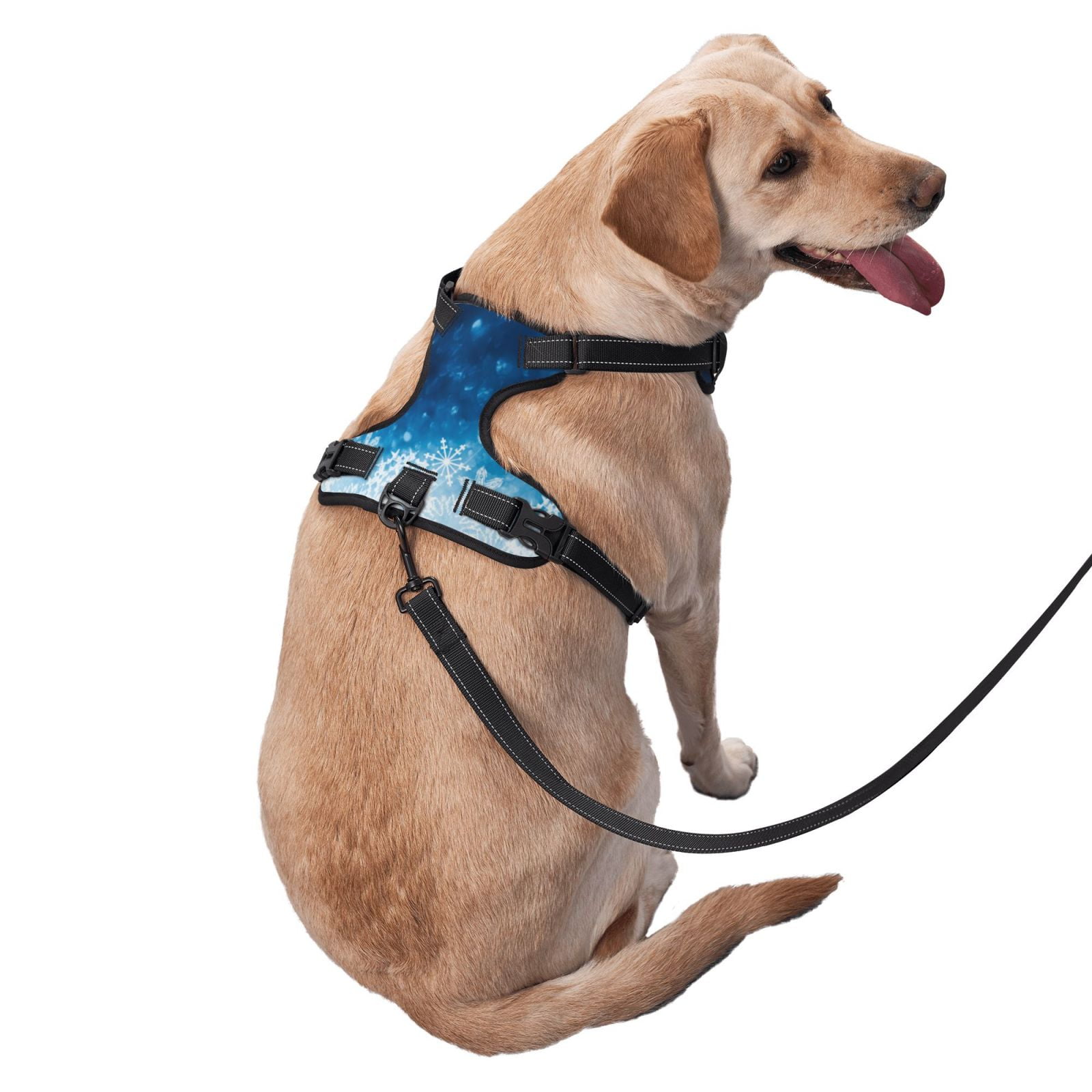 Vsdgher Blue Glitter Sparkles Dog Harness, No-Pull Pet Harness, Dog Vest, Pet Vest for Small to Large Dogs-Medium