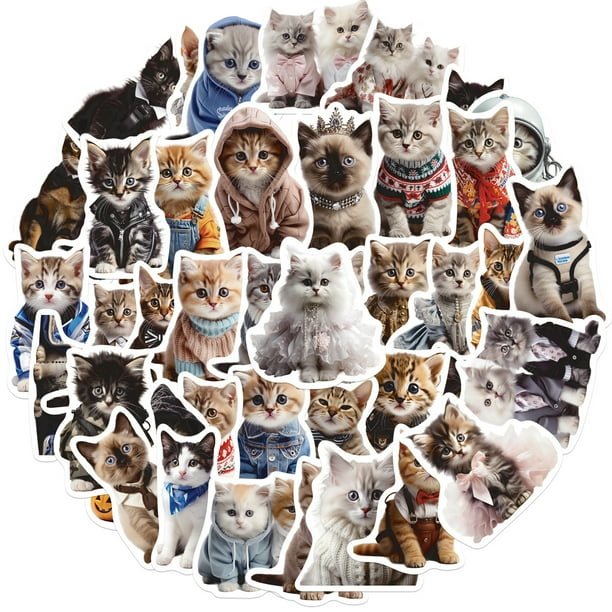Paquete de pegatinas de vinilo con bonitos dibujos animados de gatos, 50 unidades