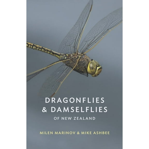 Dragonflies and Damselflies of New Zealand (Paperback)