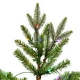 thumbnail image 2 of Vickerman 12' x 78" Douglas Fir Artificial Christmas Tree, Multi-colored Dura-Lit LED lights, 2 of 2