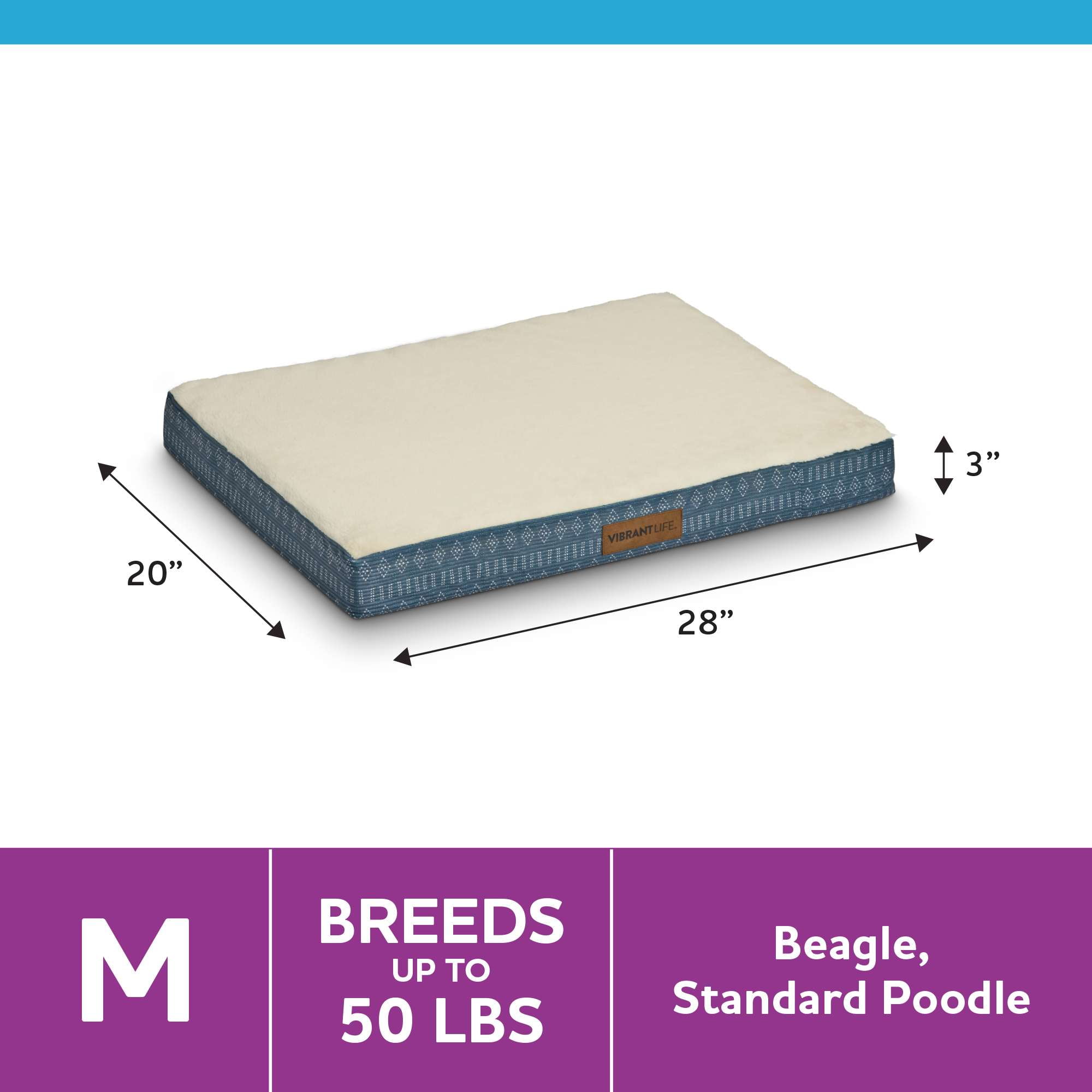 Vibrant Life Medium Orthopedic Foam Dog Bed for Medium Breeds, Medium, 28" x 20", Blue