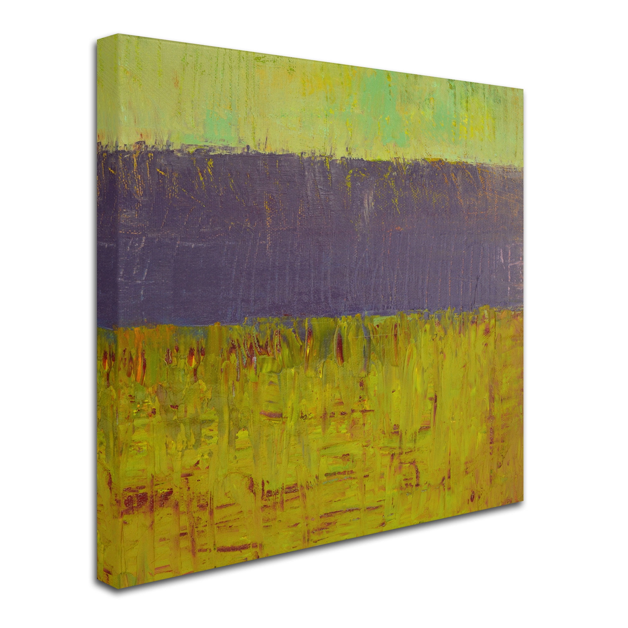 Trademark Fine Art "Highway Series Lake" Canvas Art by Michelle Calkins