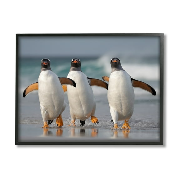 Stupell Industries Penguin Trio on Beach Animals & Insects Photography Black Framed Art Print Wall Art, 14 x 11