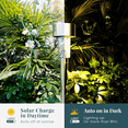 thumbnail image 5 of Solar Garden Light Set (16Pack) Stainless Steel Solar Lawn Lights IP65 Waterproof Rating Warm White LED Outdoor Lights Ideal for Patios, Garden Paths, and Landscape Lighting, 5 of 6
