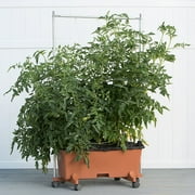 EarthBox Aluminum 5-foot Staking System for the EarthBox Original Gardening System - Terra