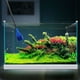 thumbnail image 5 of Kit de limpieza de algas, plantas acuáticas y césped, juego 5 en 1, herramientas para acuario, incluye raspador de algas, rastrillo de arena, cepillo plano/rectangular ajustable y red de pesca., 5 of 6