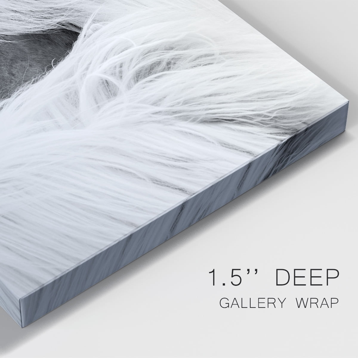 Island Pony II Premium Gallery Wrapped Canvas - Ready to Hang