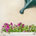 thumbnail image 3 of Root & Vessel 2-Gallon Classic Watering Can, Hunter Green, 3 of 6