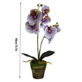 thumbnail image 2 of Artificial en maceta flor de orquídea simulación floral decoración tela orquídea falsa con maceta, púrpura seitruly HA7708-03B, 2 of 6