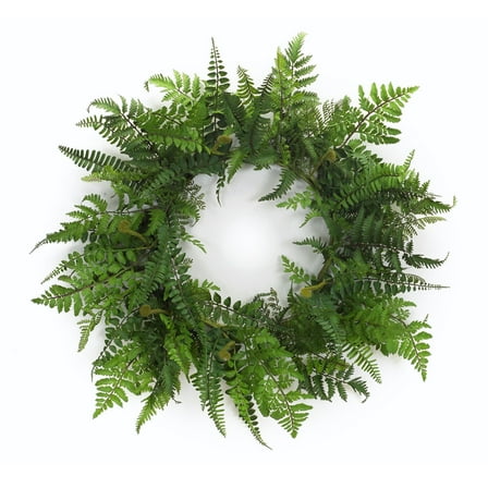 Melrose Fern Twig Spring Wreath - 24-Inch