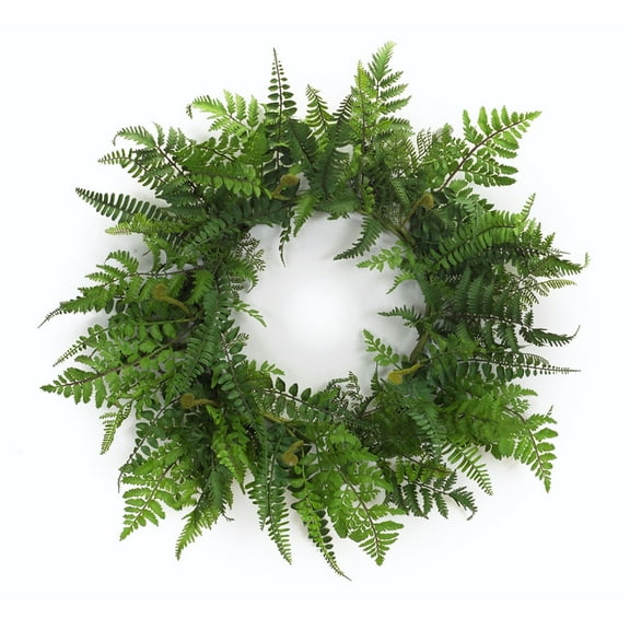 Melrose Fern Twig Spring Wreath - 24-Inch