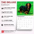 thumbnail image 6 of For the Love of Dachshunds | 2027 14x24" (Hanging) Wall Calendar | Plastic-Free, 6 of 9