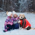 thumbnail image 5 of Dog Raincoats Waterproof. Dog Hooded Raincoat. Coat Rain Jacket For Dogs. Dog Raincoat -l-red, 5 of 5