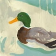thumbnail image 2 of Green, Jacob 15x15 Black Ornate Wood Framed with Double Matting Museum Art Print Titled - Bathing Mallard II, 2 of 4