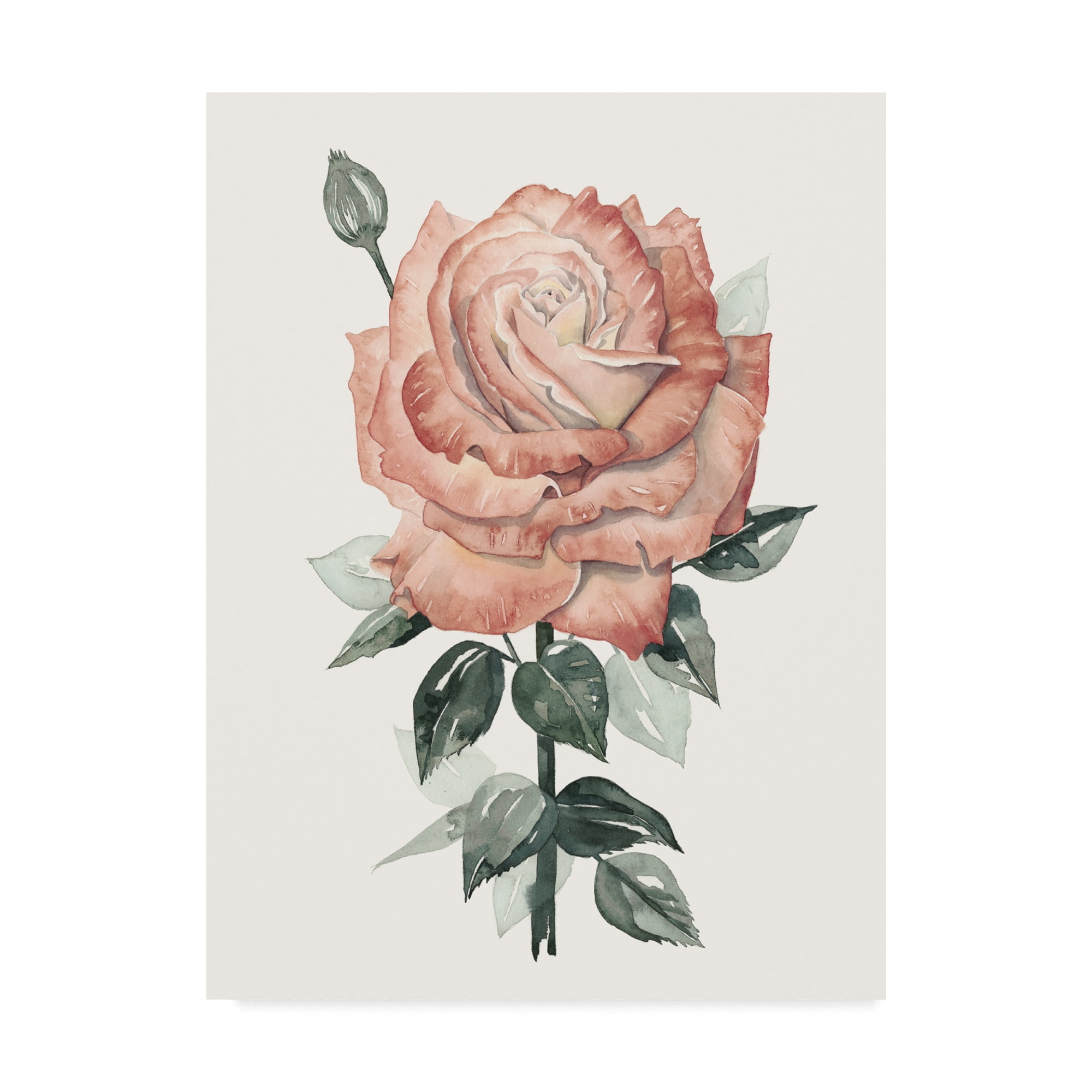 Beholden Rose II' Canvas Art by Grace Popp