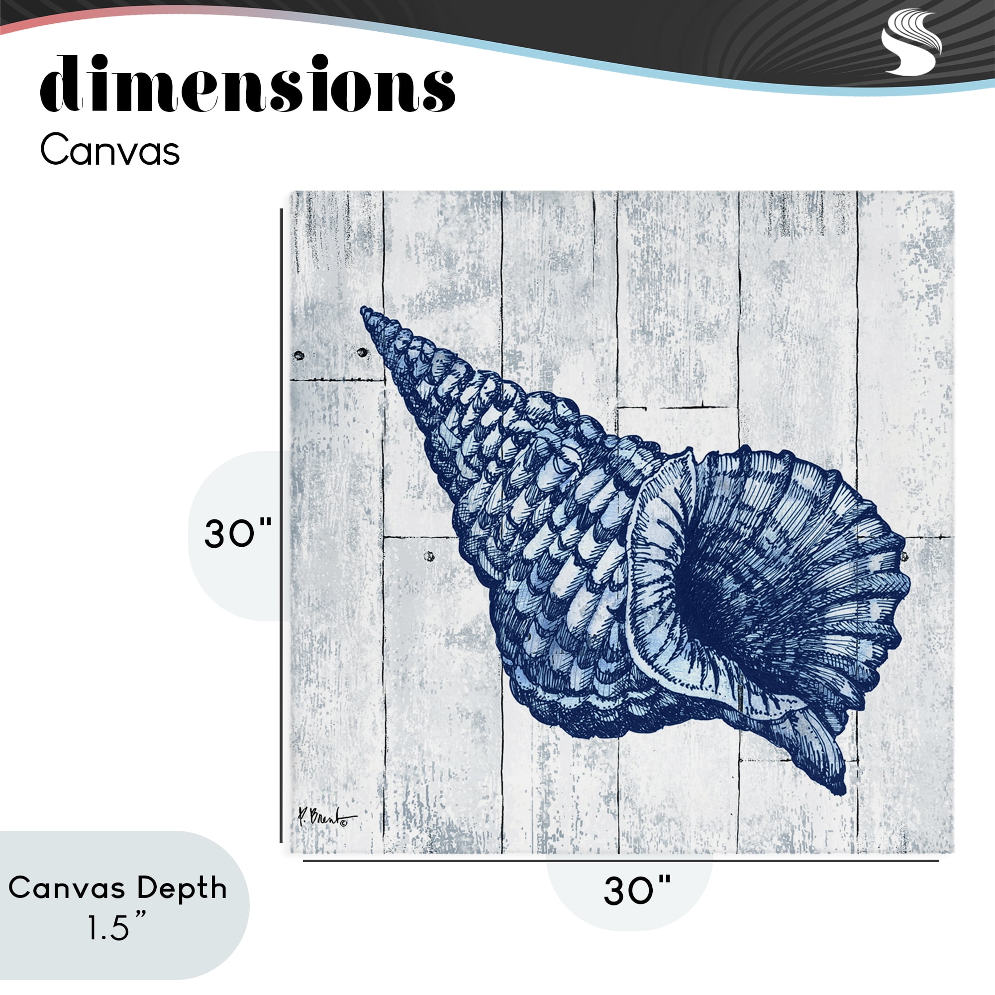 Stupell Industries Coastal Timberland Conch Canvas Wall Art, design by Paul Brent