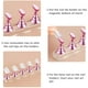 thumbnail image 3 of Juego de 2 Soportes Magnéticos para Uñas Acrílicas Rosa NQ, 3 of 5