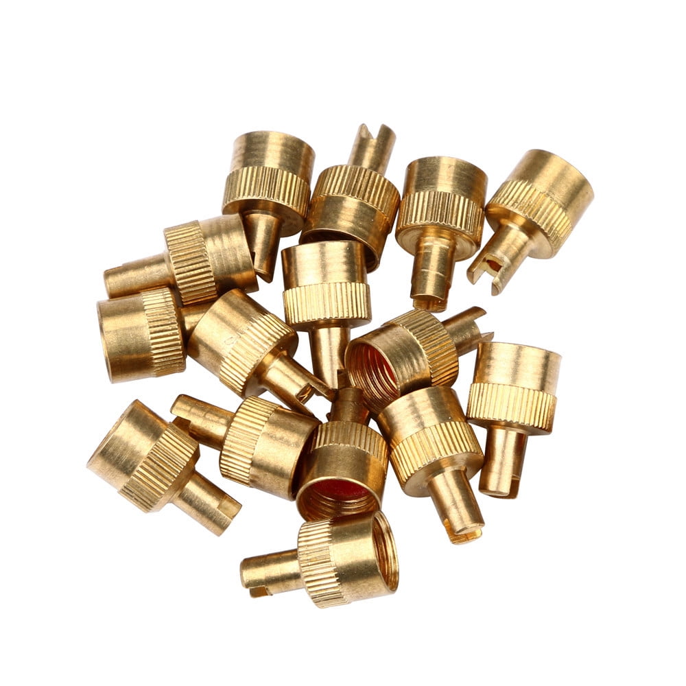 10pcs Motorcyle Car Slotted Head Valve Stem Caps with Core Remover Tools 