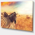 thumbnail image 2 of Design Art - Zebras Herd in Field At Sunset, 2 of 3