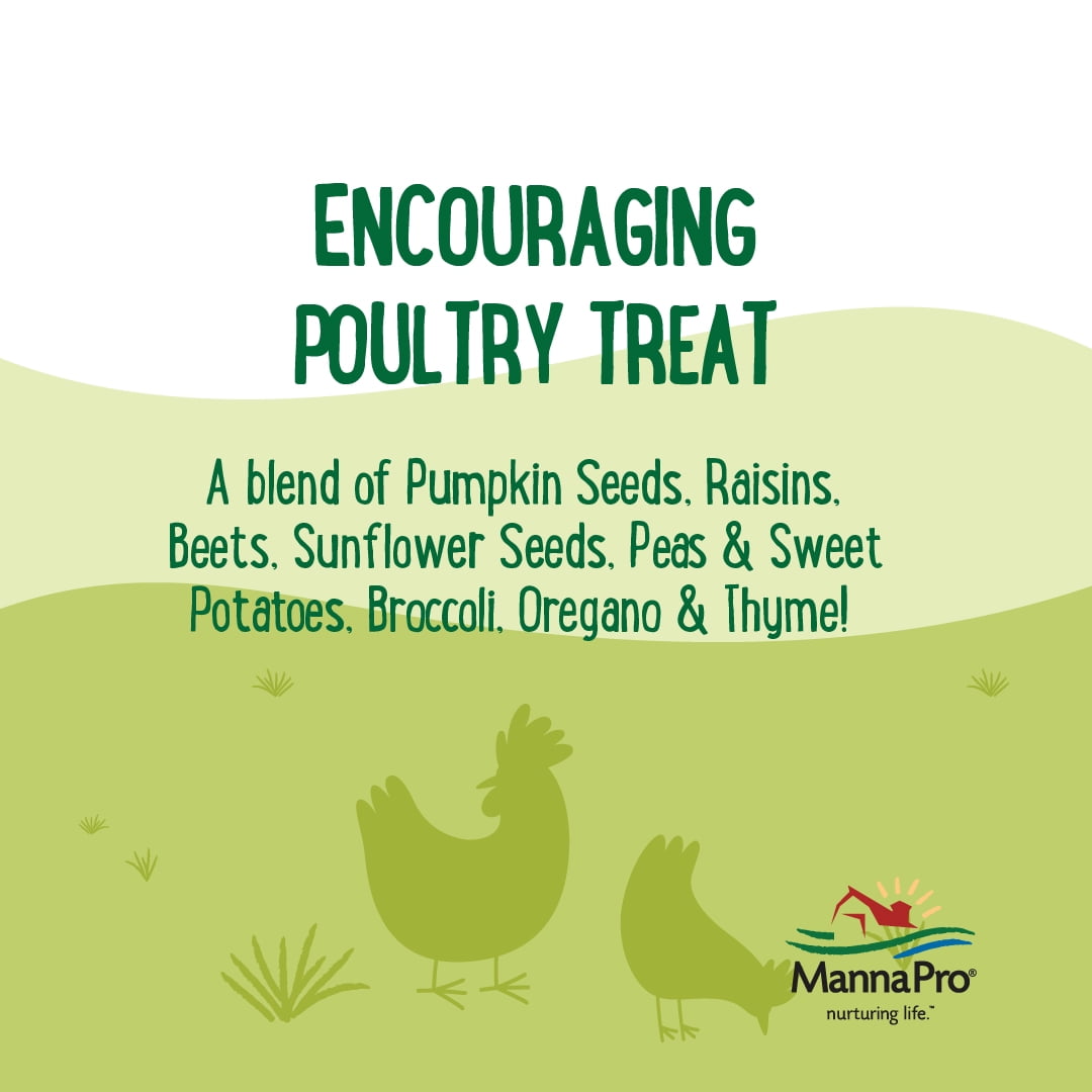 Manna Pro Farmhouse Favorites Garden Thyme Treat for Chickens - 1 Bag - 4lbs.